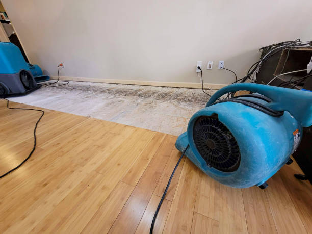 Professional Water Damage Repair technician working in Spanaway, WA